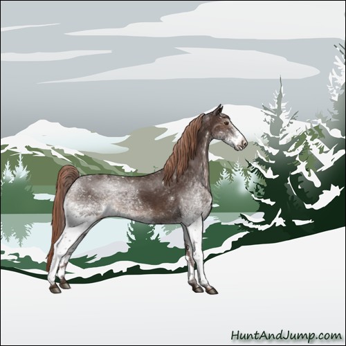 Horse Color:White Spotted Liver Chestnut 