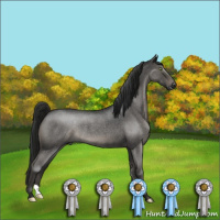 Horse Color:Gray Grullo Roan Mushroom Rabicano