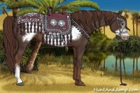 Horse Color:Liver Chestnut Frame 