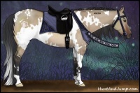 Horse Color:White Spotted Brown Dun 