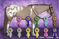 Horse Color:Classic Champagne Tobiano Appaloosa Rabicano 