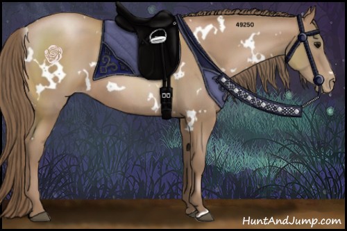 Horse Color:White Spotted Black Pearl 