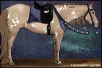 Horse Color:White Spotted Black Pearl 