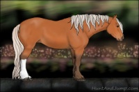 Horse Color:Silver Bay 