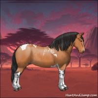 Horse Color:Bay Tobiano  and Bay Tobiano Rabicano 