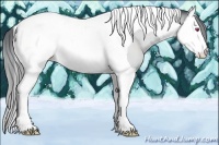 Horse Color:Brown Chinchilla Mushroom Splash Tobiano Snowcap 