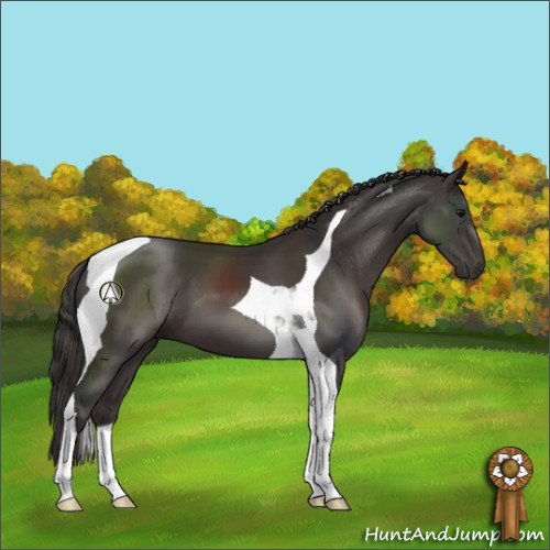 Horse Color:Smoky Black Tobiano