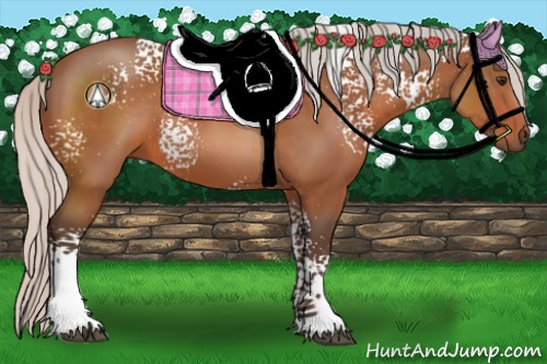 Horse Color:White Spotted Silver Brown 