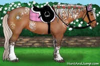 Horse Color:White Spotted Silver Brown