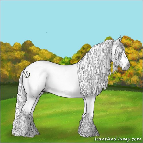 Horse Color:Gray Silver Black Sabino