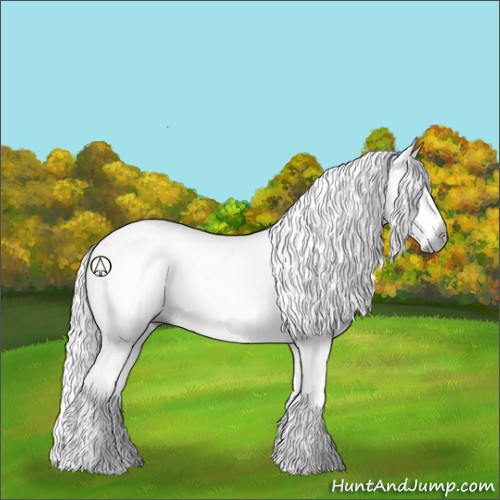 Horse Color:Gray Silver Black Sabino