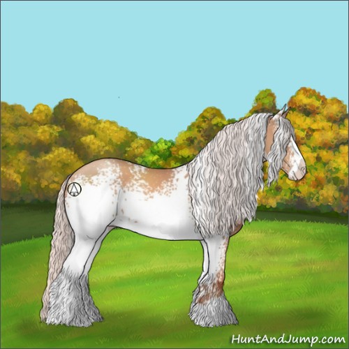 Horse Color:White Spotted Silver Sable Champagne Sabino