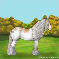 Horse Color:White Spotted Silver Sable Champagne Sabino 