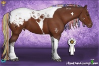Horse Color:Painted Silver Brown Tobiano Appaloosa