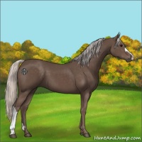 Horse Color:Silver Black 