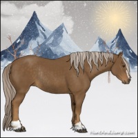 Horse Color:Chocolate Palomino Sabino Rabicano 