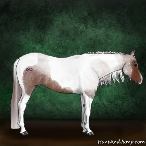 Horse Color:Chocolate Brown Roan Tobiano 