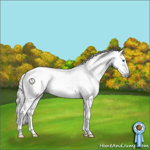 Horse Color:Gray Silver Brown Dun Sabino Splash