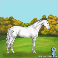 Horse Color:Gray Silver Brown Dun Sabino Splash