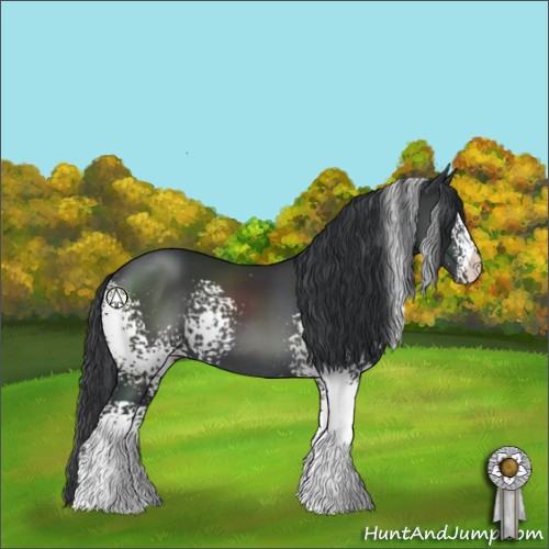 Horse Color:White Spotted Black