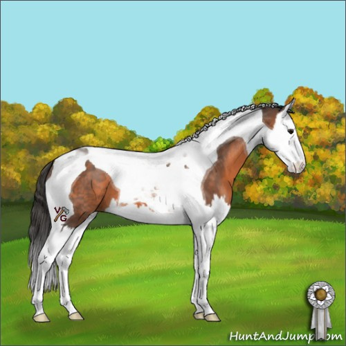 Horse Color:Brown Splash Tobiano 