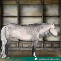 Horse Color:Platinum Silver Buckskin 