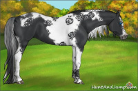 Horse Color:Black Splash Tobiano Frame 