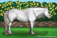 Horse Color:White Spotted Silver Buckskin Tobiano Near Fewspot