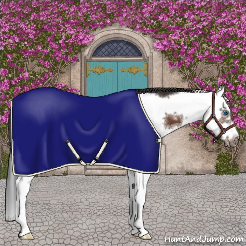 Horse Color:Brown Splash Frame Varnish