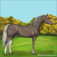 Horse Color:Silver Black 
