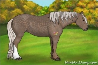 Horse Color:Silver Black