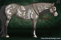 Horse Color:White Spotted Smoky Grullo Frame 