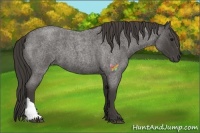 Horse Color:Smoky Blue Roan 