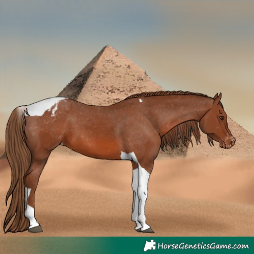 Horse Color:Chestnut Tobiano Varnish