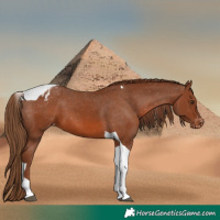 Horse Color:Chestnut Tobiano Varnish 