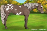 Horse Color:Silver Black Frame Appaloosa 