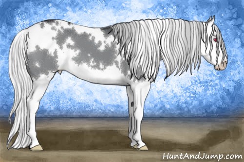 Horse Color:White Spotted Silver Black Chinchilla Splash 
