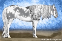 Horse Color:White Spotted Silver Black Chinchilla Splash 