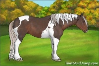 Horse Color:Silver Black Tobiano