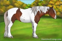 Horse Color:Silver Brown Tobiano 