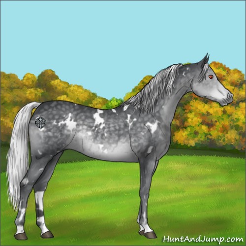 Horse Color:White Spotted Silver Black Chinchilla 