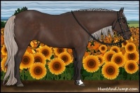 Horse Color:Silver Brown 