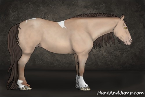 Horse Color:Sable Champagne Tobiano 