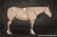 Horse Color:Sable Champagne Tobiano 