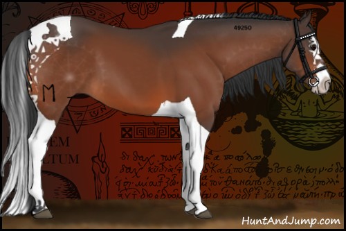 Horse Color:Bay Splash Tobiano 