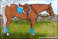 Horse Color:Silver Bay Tobiano Rabicano 