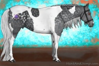 Horse Color:Silver Black Chinchilla Tobiano 