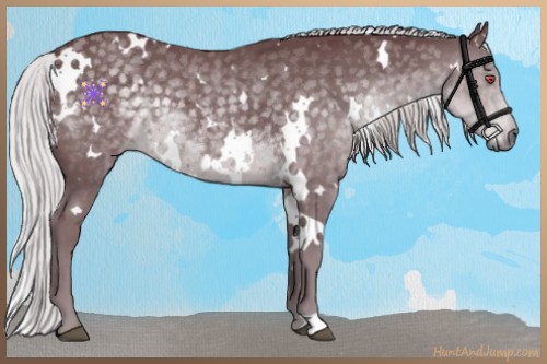 Horse Color:White Spotted Chocolate Silver Black Chinchilla 