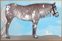 Horse Color:White Spotted Chocolate Silver Black Chinchilla 