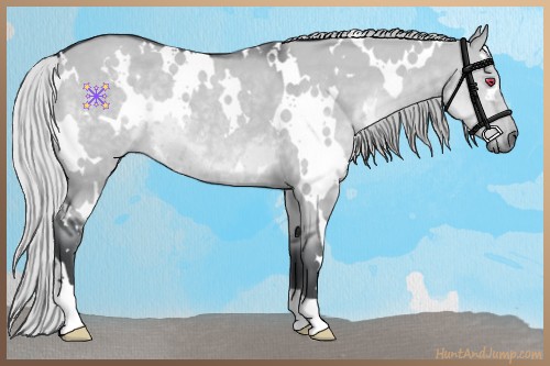 Horse Color:White Spotted Silver Grullo Chinchilla 